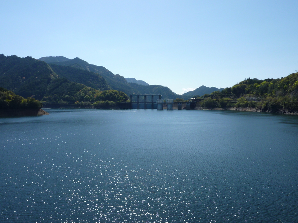 P1010967_mid.jpg