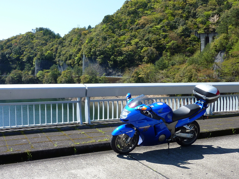 P1010969_mid.jpg
