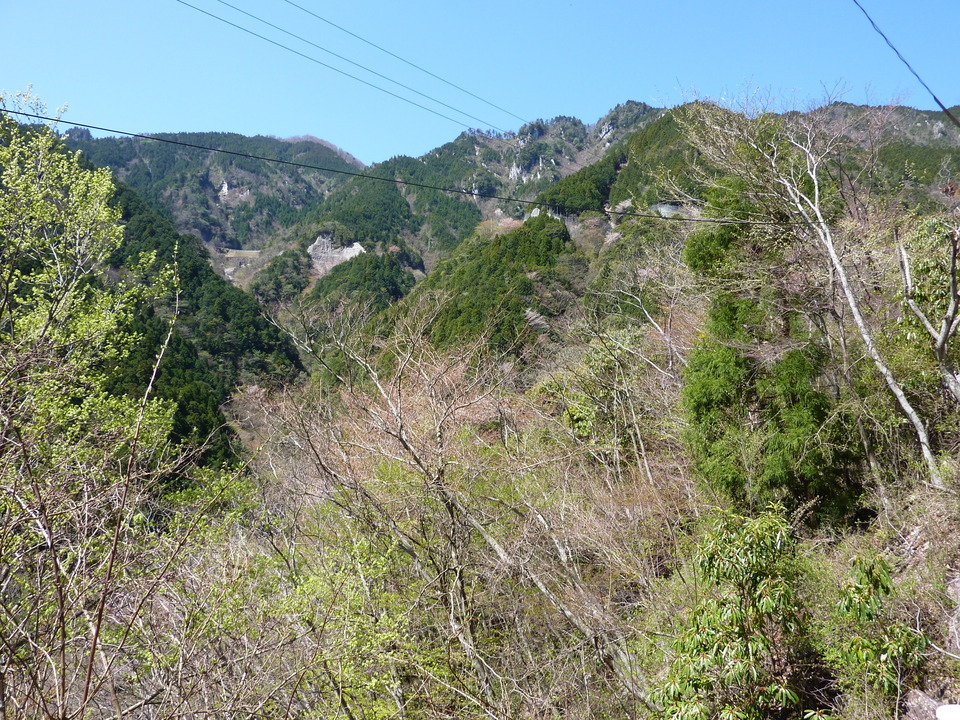 P1010993_mid.jpg