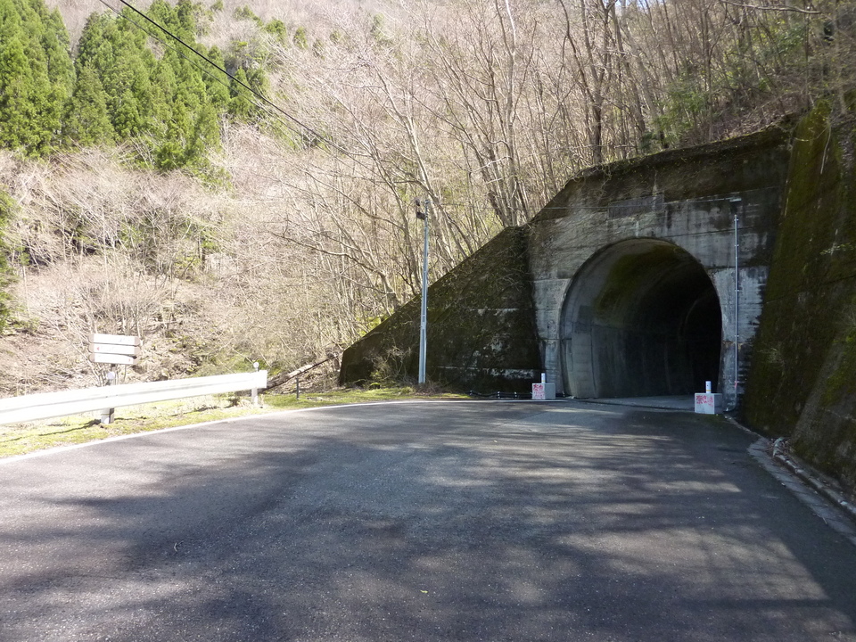 P1020008_mid.jpg