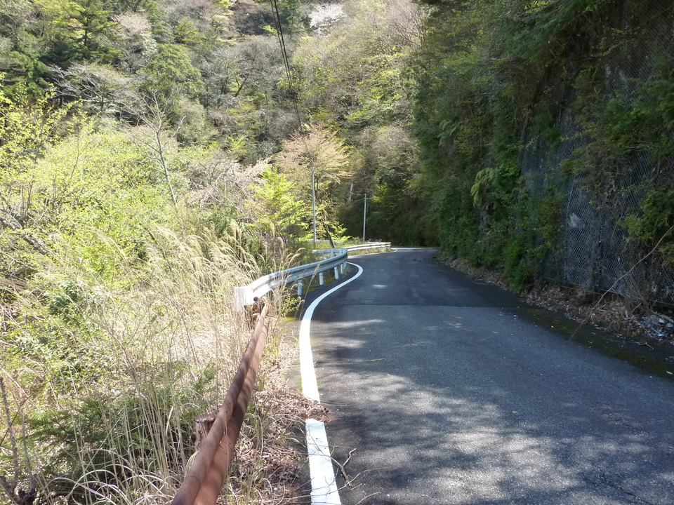 P1020021_mid.jpg
