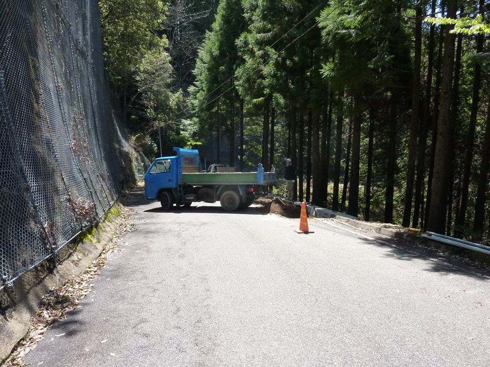 P1020024_mid.jpg