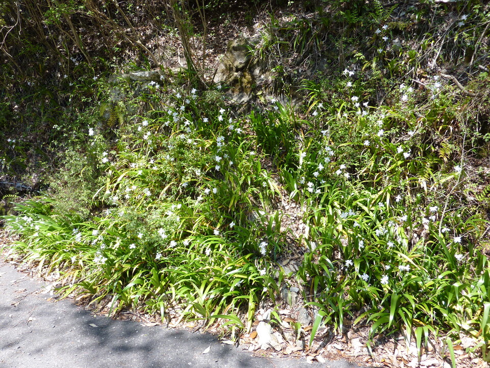 P1020031_mid.jpg