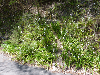 P1020031_thumb.png