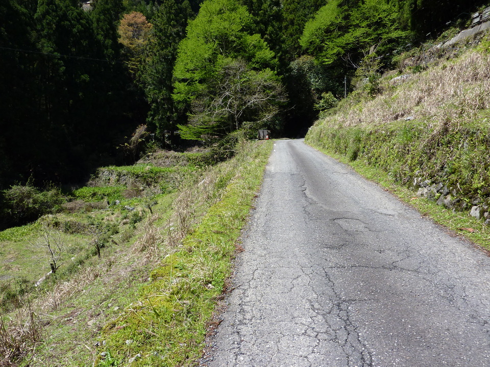 P1020055_mid.jpg