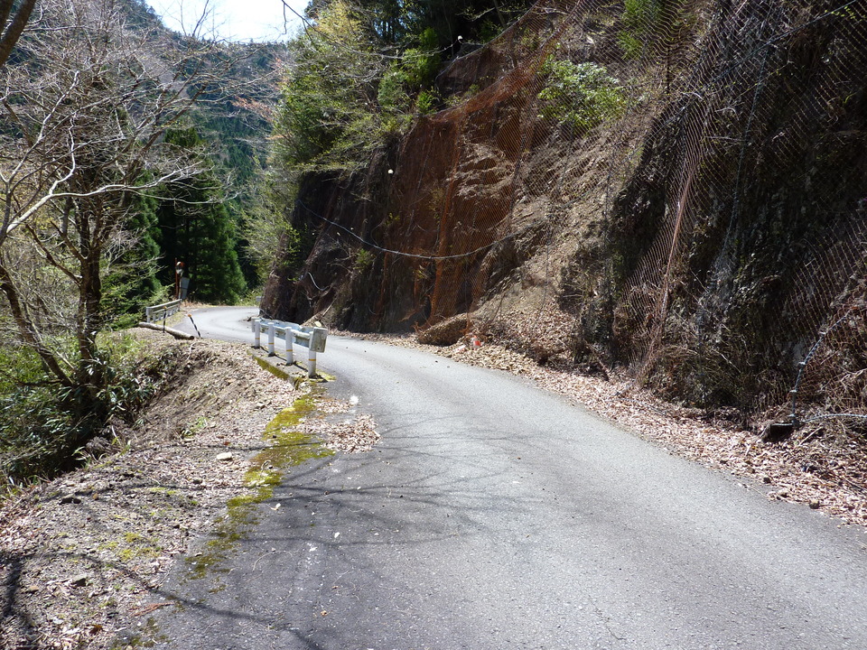 P1020070_mid.jpg