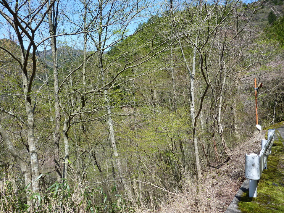 P1020072_mid.jpg