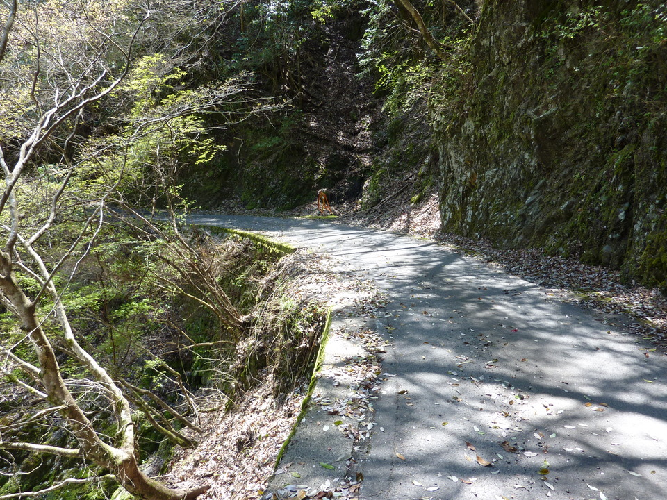 P1020075_mid.jpg