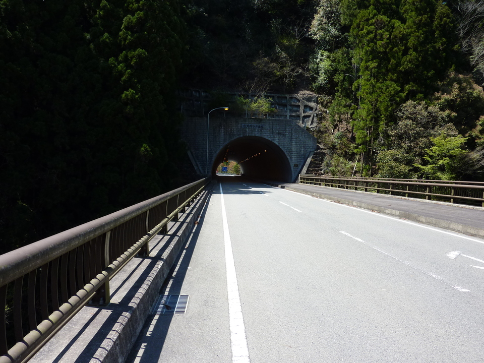P1020077_mid.jpg