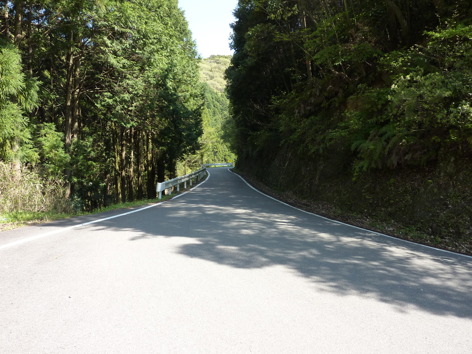 P1020103_mid.jpg