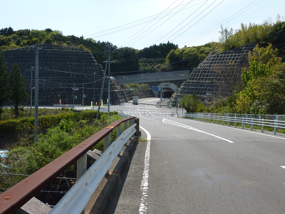 P1020111_mid.jpg