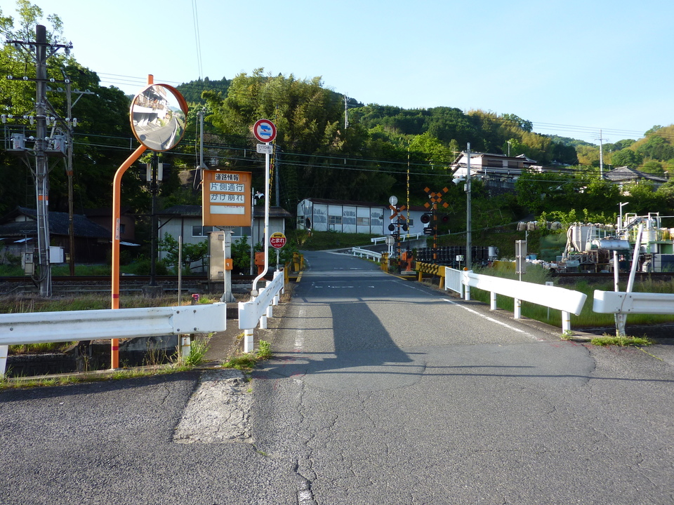 P1020645_mid.jpg