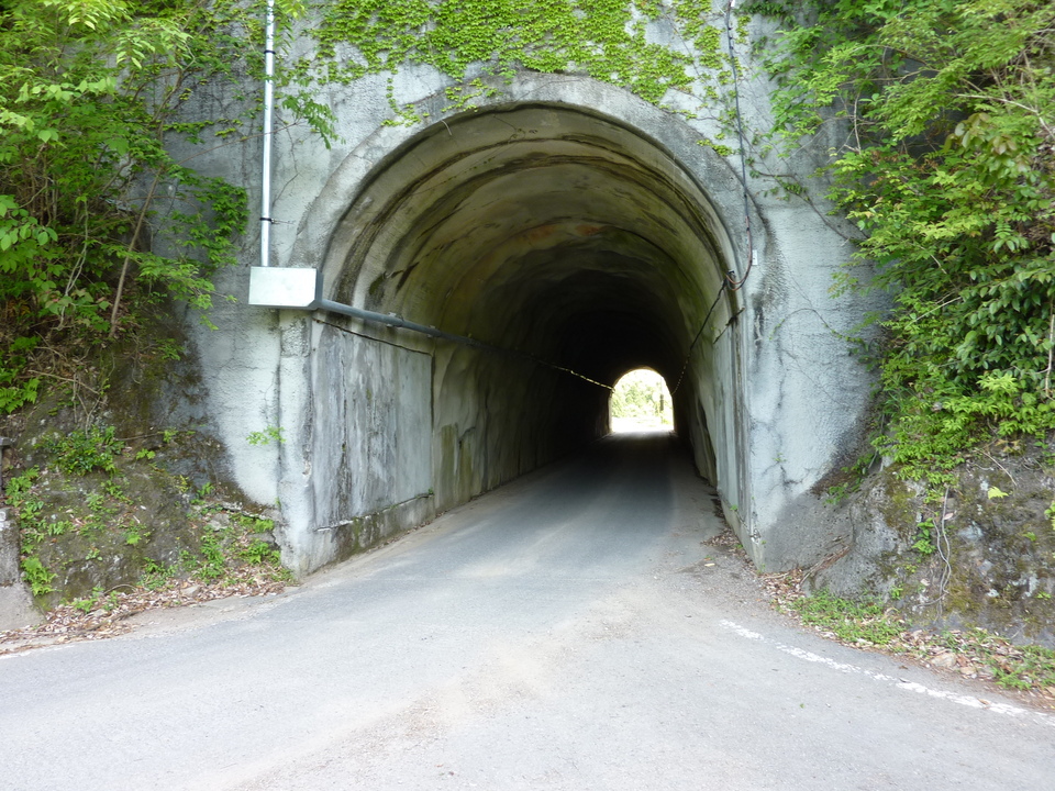 P1020804_mid.jpg