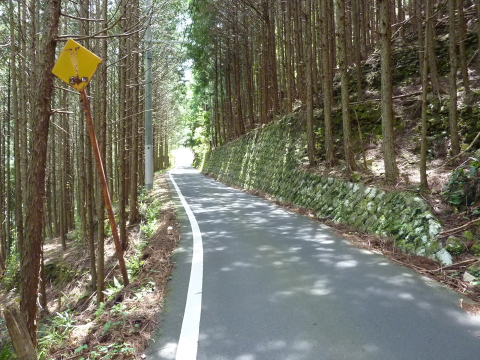 P1020885_mid.jpg