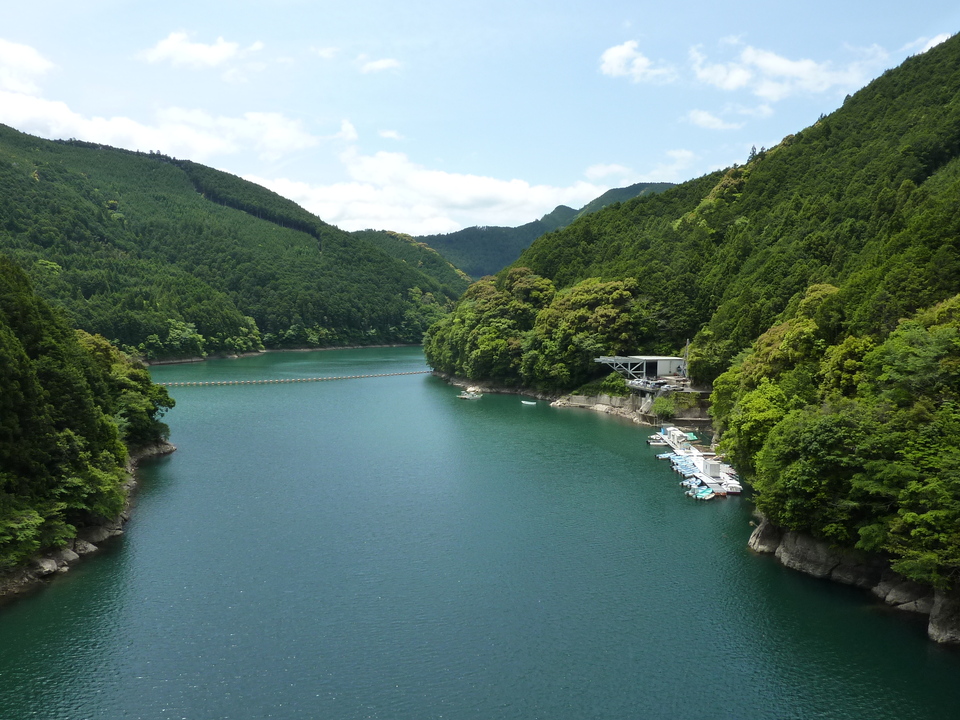 P1020893_mid.jpg