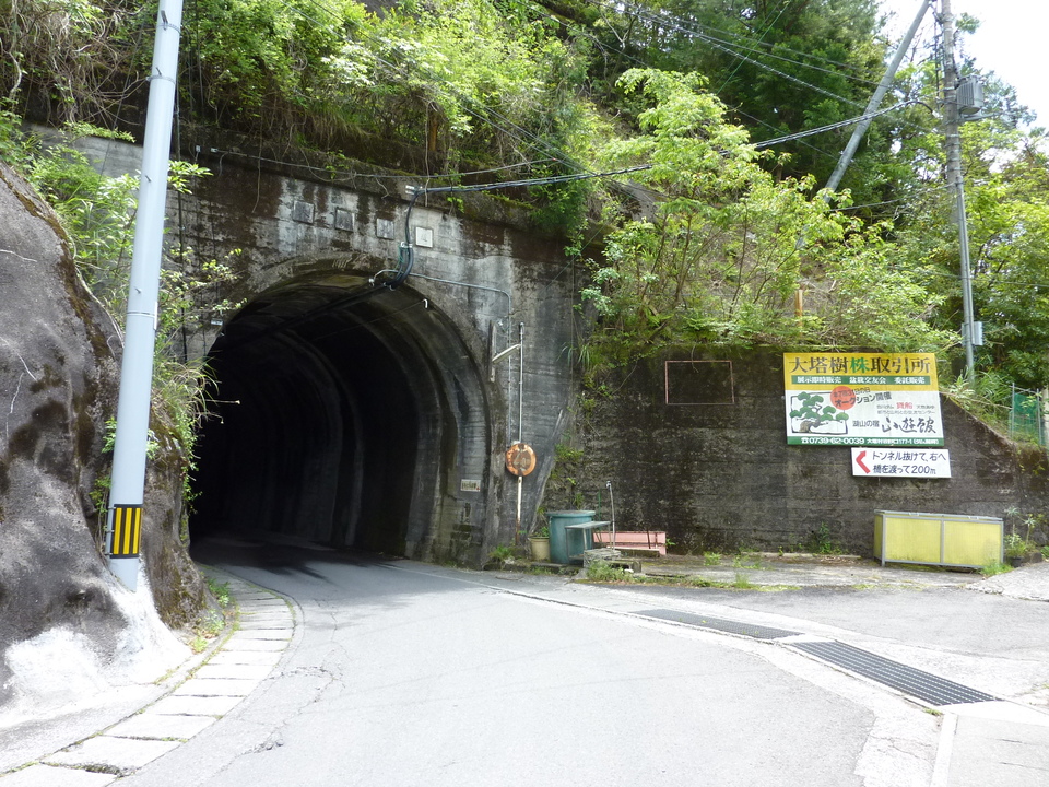 P1020898_mid.jpg