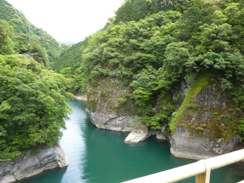 P1020903_mid.jpg