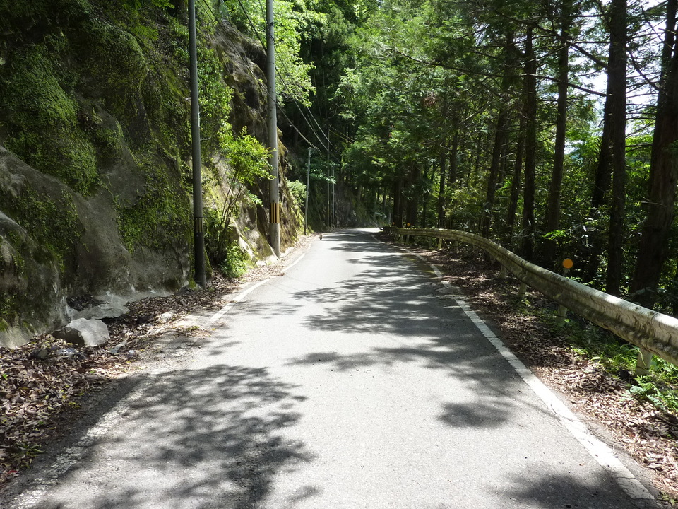 P1020907_mid.jpg