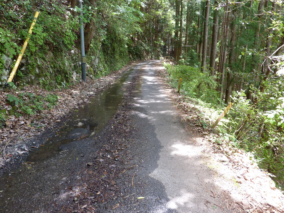 P1020909_mid.jpg