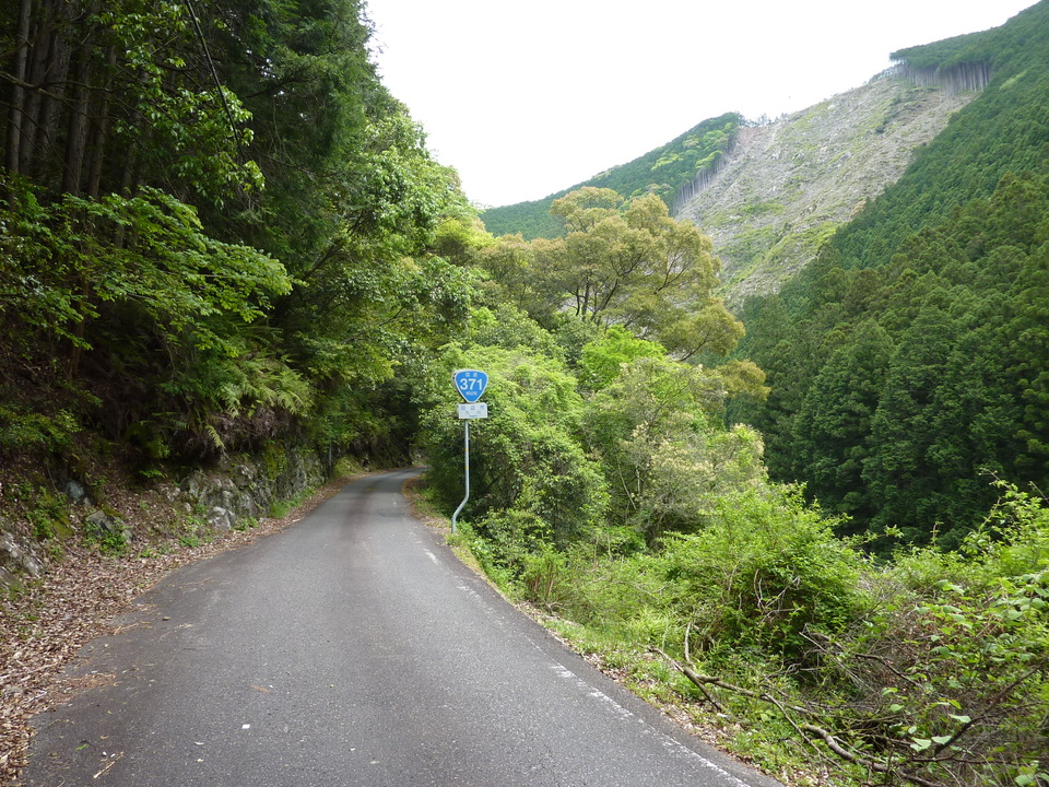 P1020912_mid.jpg