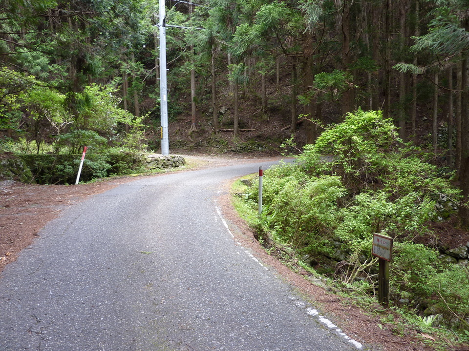 P1020915_mid.jpg
