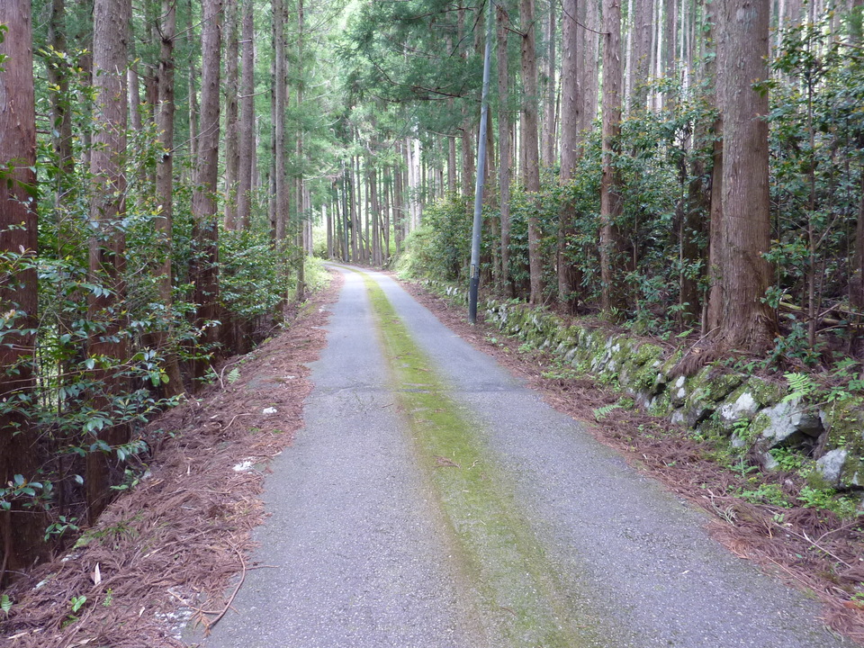 P1020921_mid.jpg