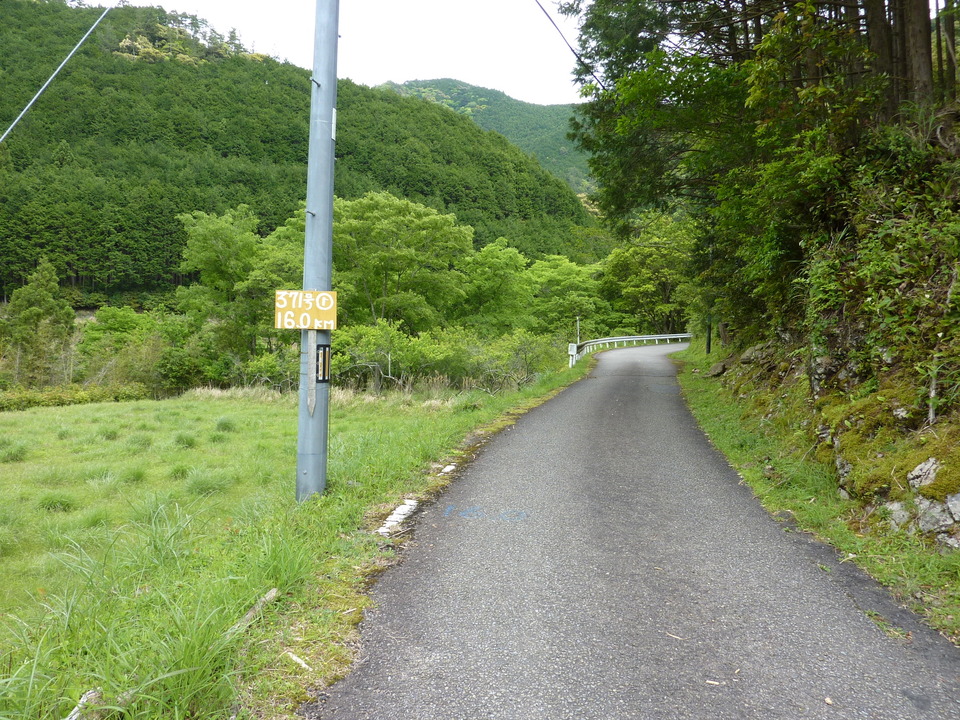 P1020922_mid.jpg