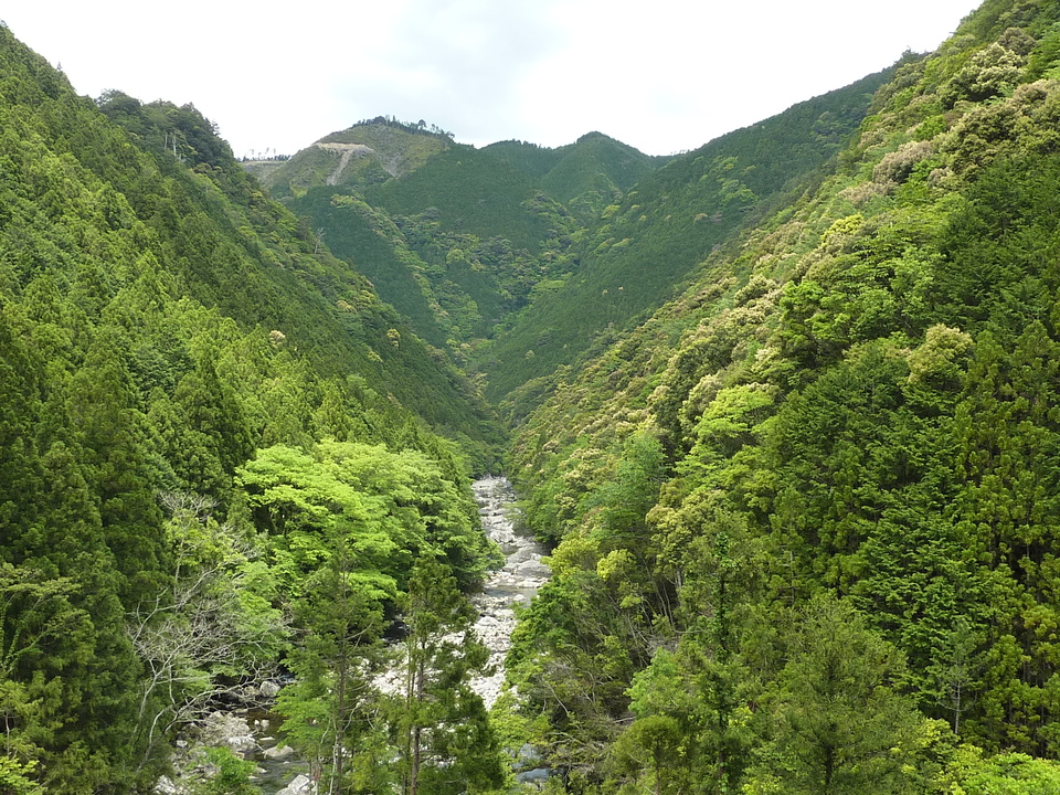 P1020923_mid.jpg