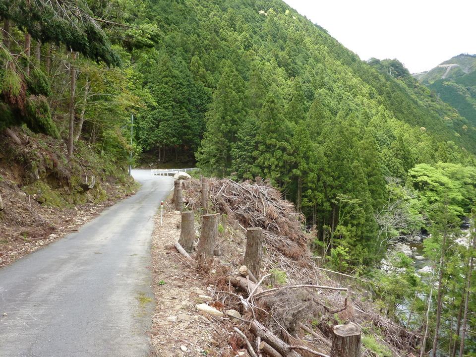 P1020924_mid.jpg
