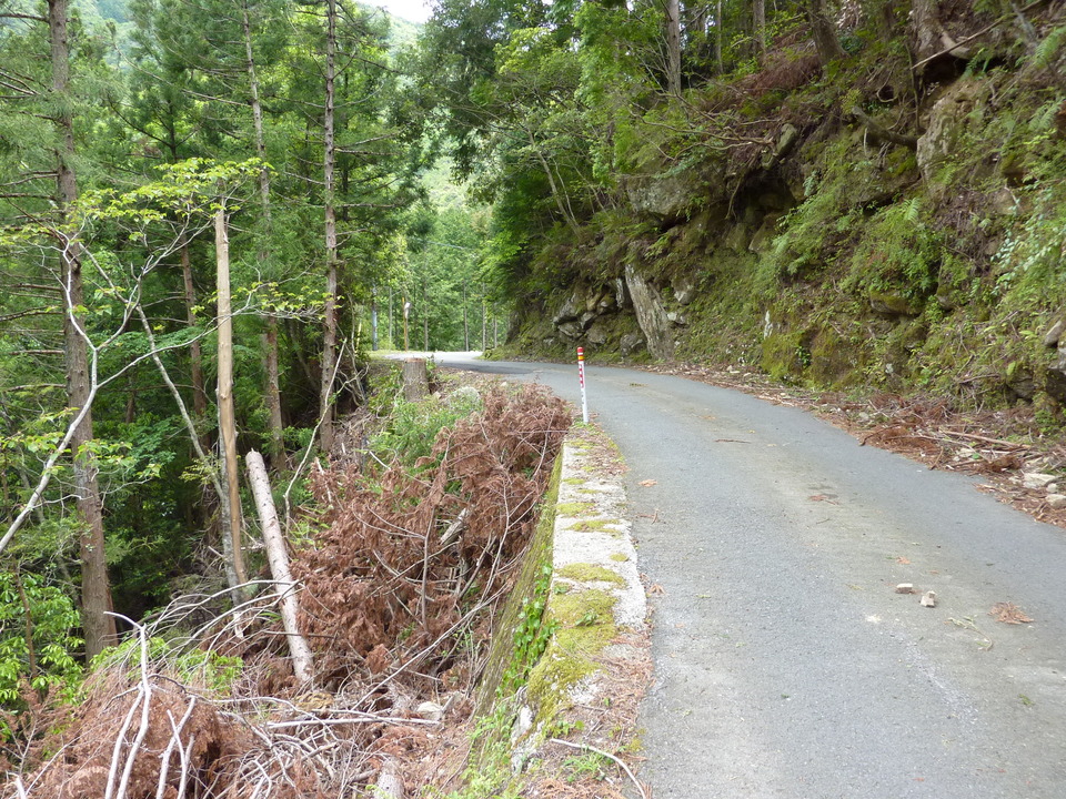 P1020925_mid.jpg