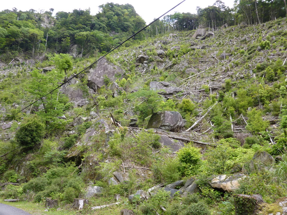 P1020931_mid.jpg