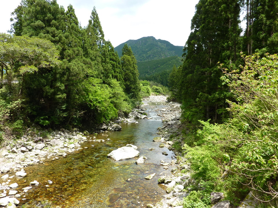 P1020936_mid.jpg