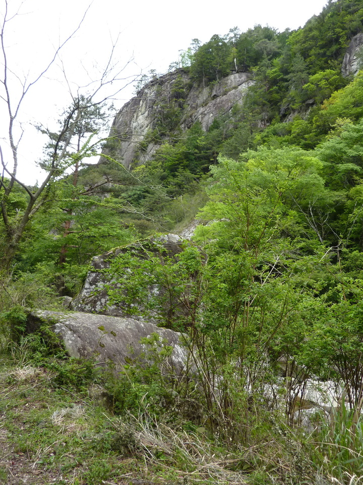 P1020938_mid.jpg