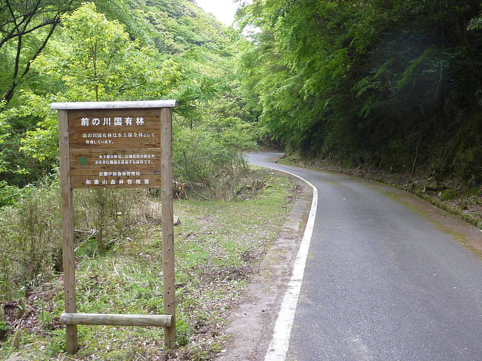 P1020941_mid.jpg