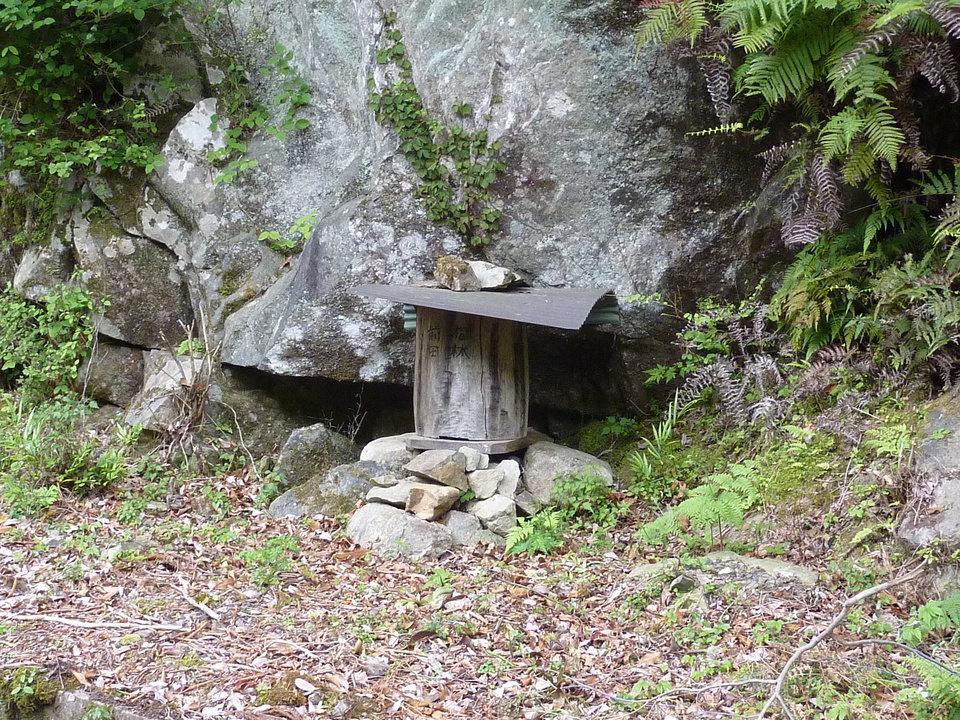 P1020942_mid.jpg