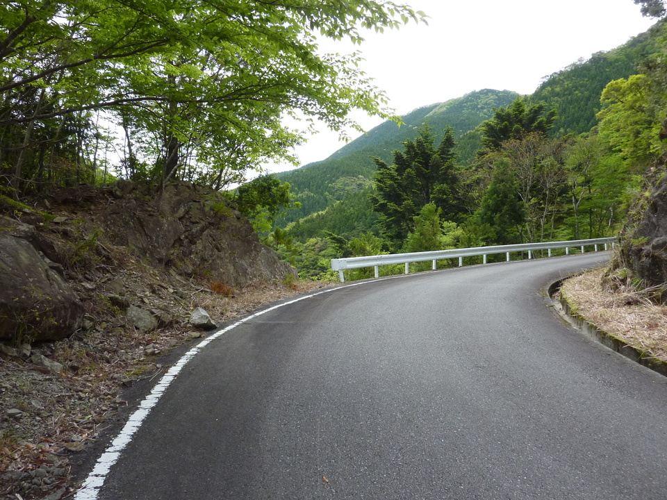 P1020943_mid.jpg