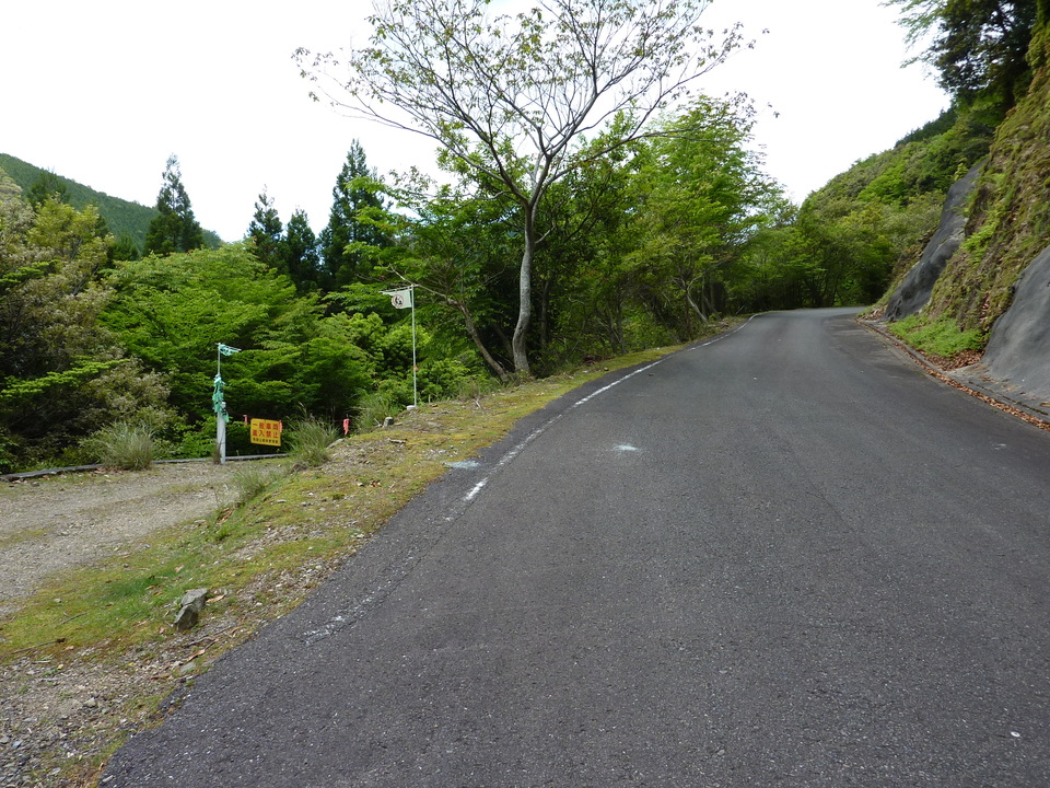 P1020944_mid.jpg