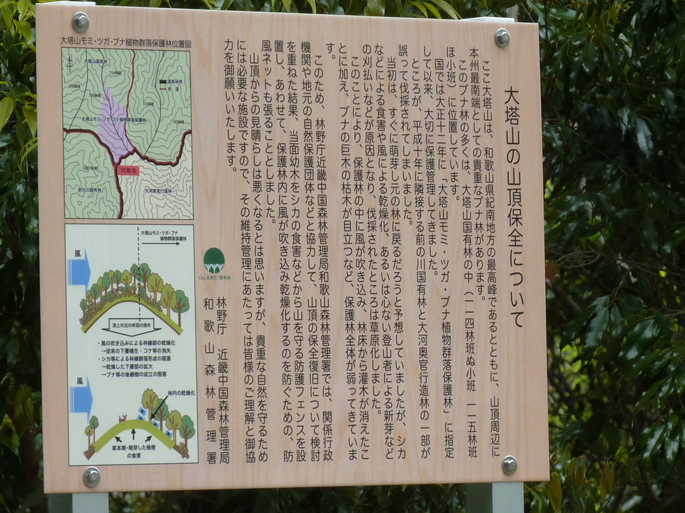 P1020945_mid.jpg