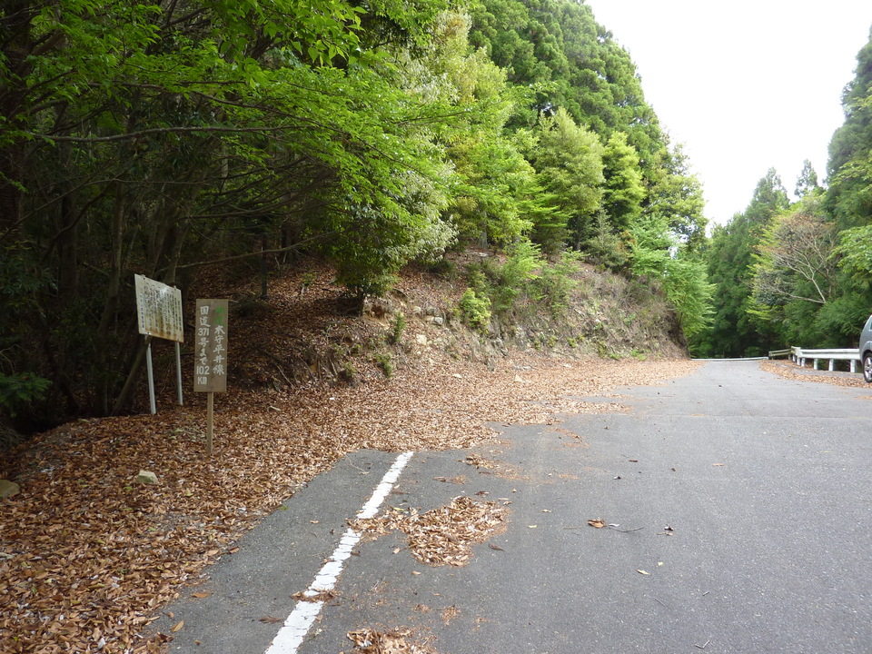 P1020946_mid.jpg