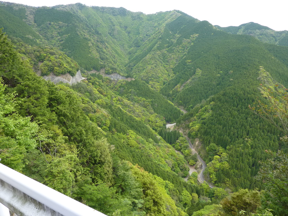 P1020950_mid.jpg