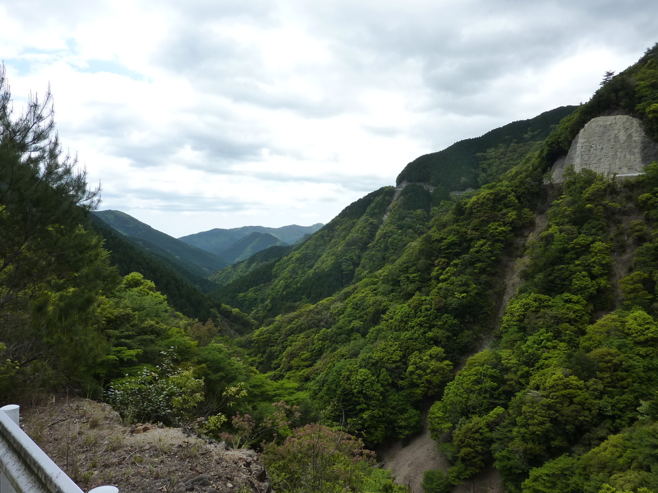 P1020954_mid.jpg
