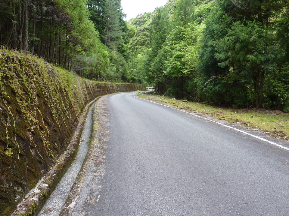 P1020955_mid.jpg