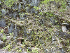 P1020957_thumb.png
