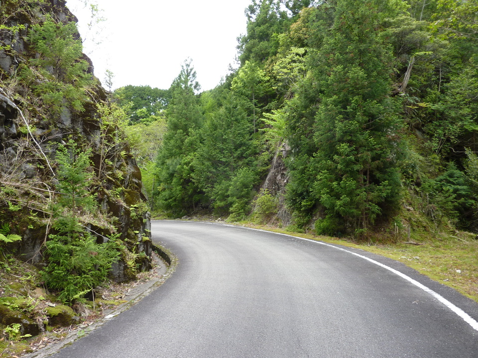 P1020958_mid.jpg