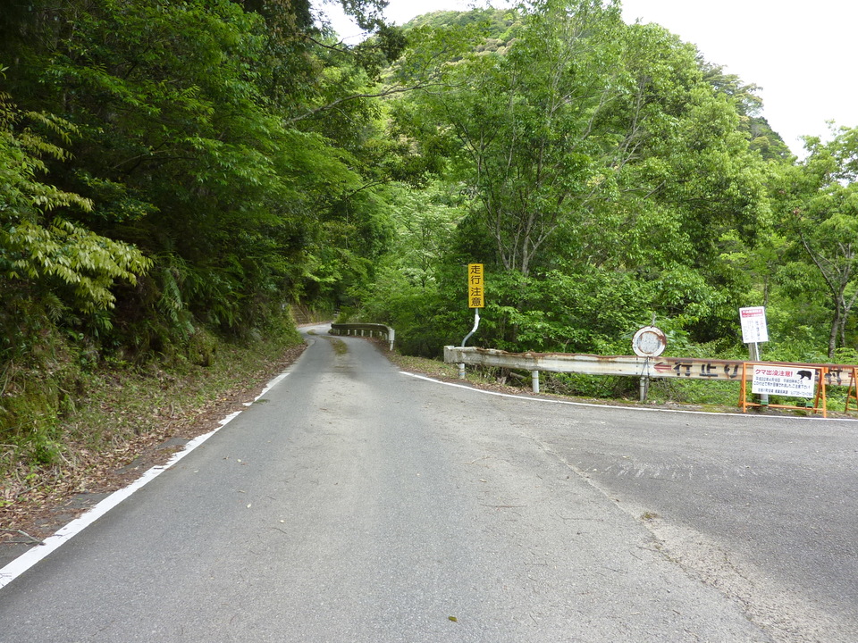 P1020961_mid.jpg