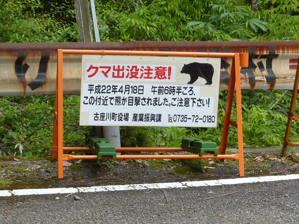 P1020962_mid.jpg