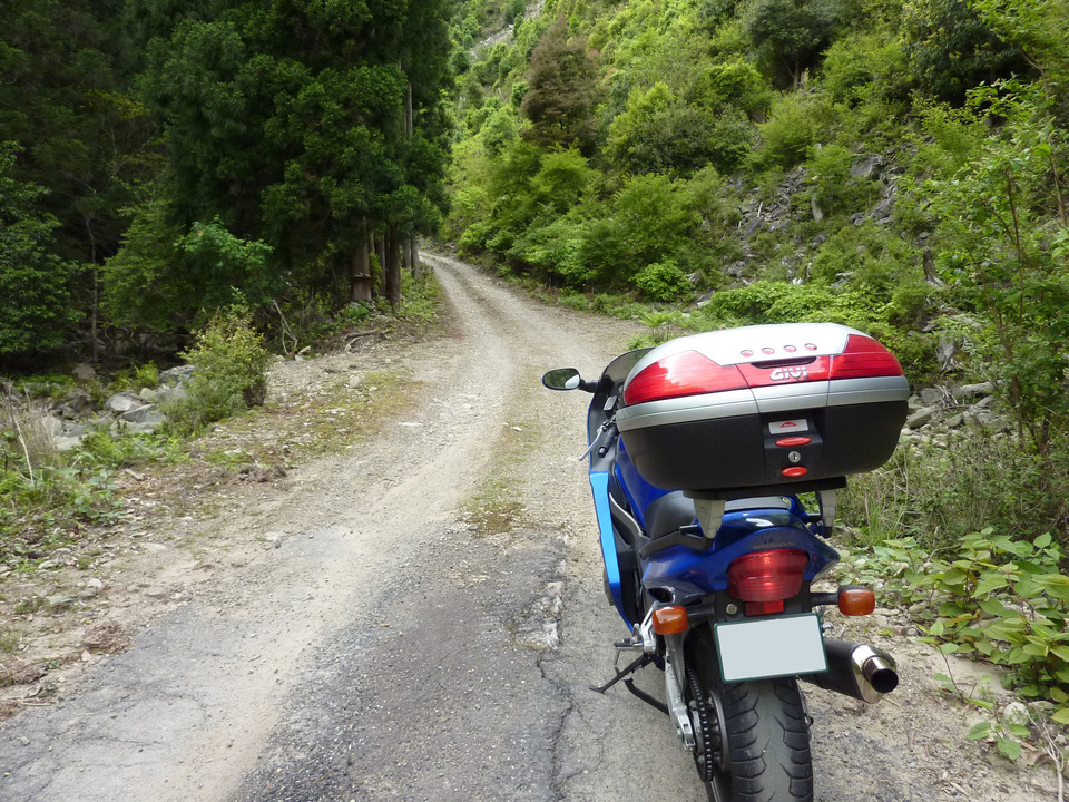 P1020966_mid.jpg
