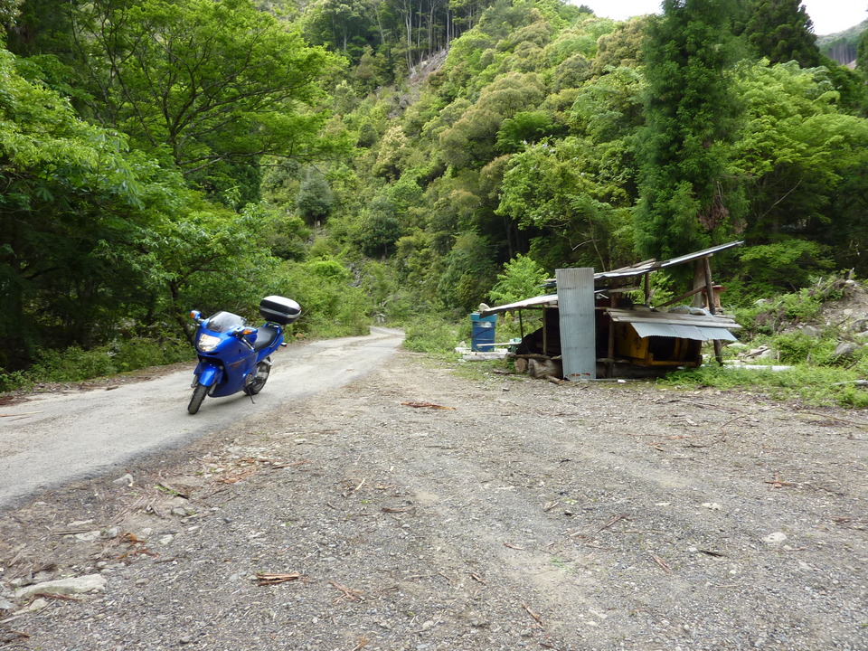 P1020969_mid.jpg