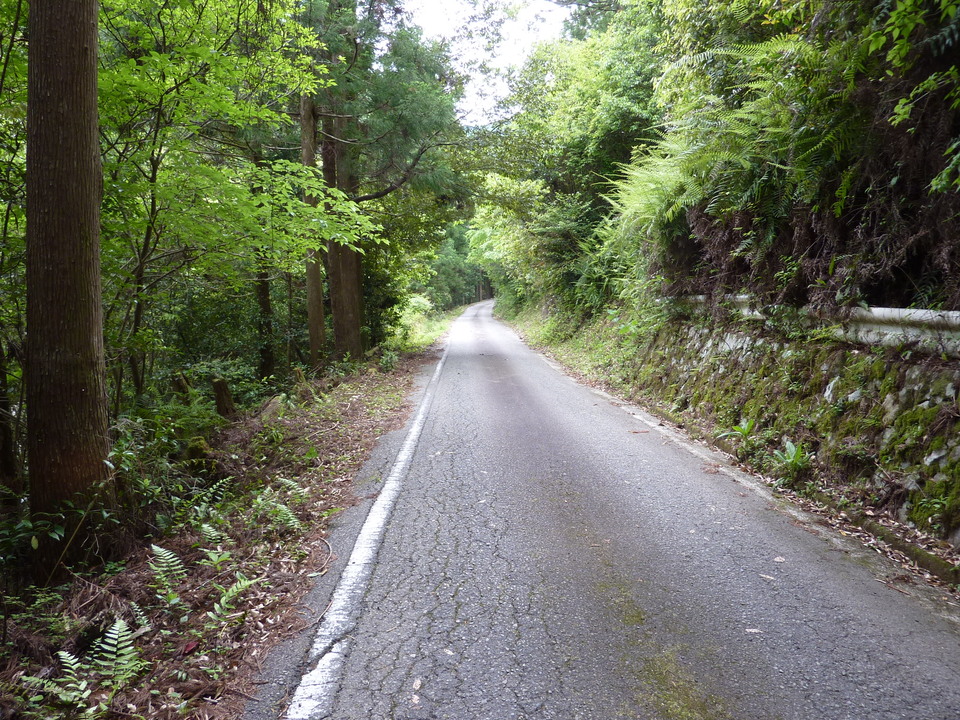 P1020980_mid.jpg