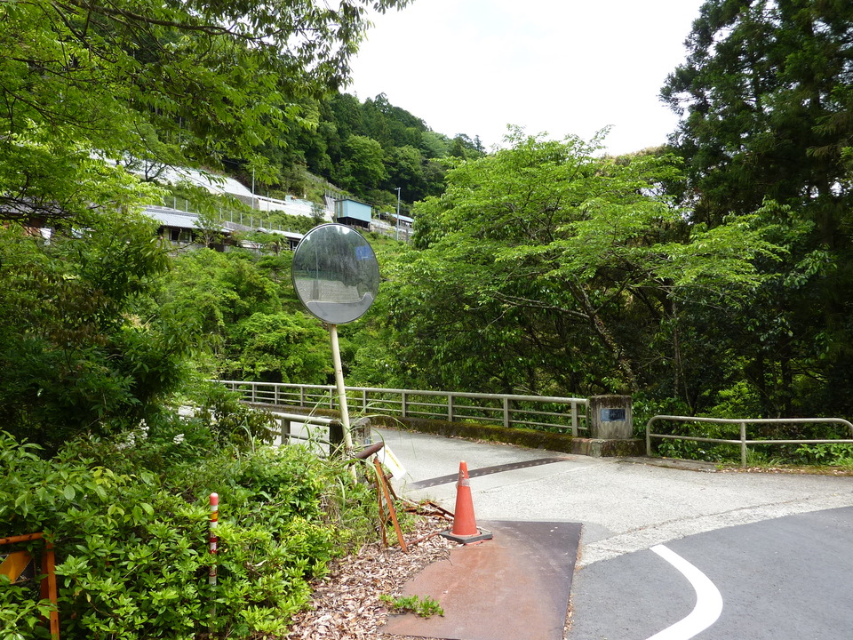 P1020983_mid.jpg